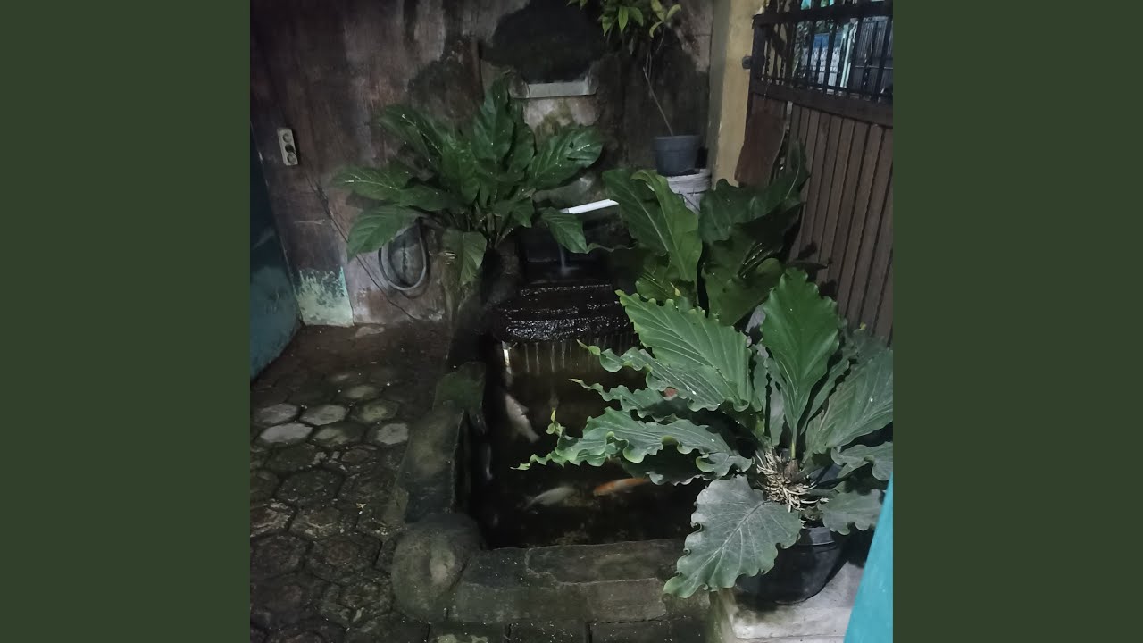Taman yang indah