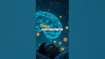 The Wonders of the Synaptic Network: Your Brain