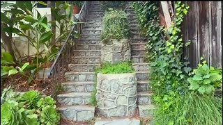 Hollywood secret stairs 🧐