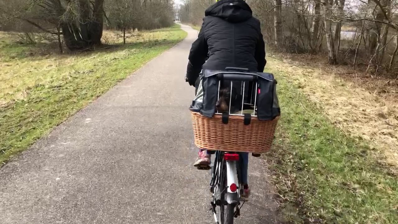 Rixen & Kaul Doggy Basket - YouTube