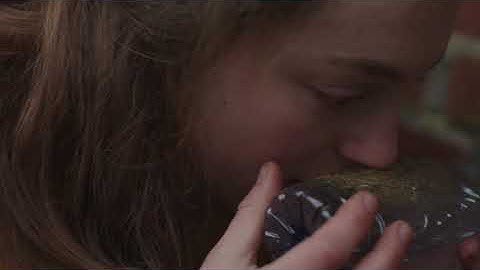 Rhizome / think like a bramble bush grows. Lotte van den Berg. Short film.