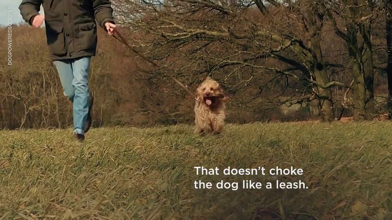 This is officially the coolest way to walk your dog - This Scooter Is Designed for You and Your Dog