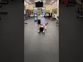 Glute Bridge + Reach