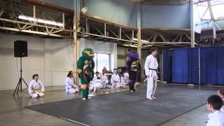 Sma Adult Demo Sept 2014