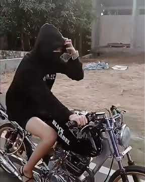 setory wa ledis herex tiger Black label yang lagi viral
