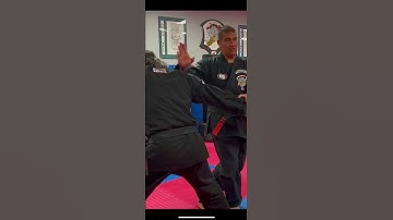Only noticing the sequence limits the understanding of the principles and concepts of motion #kenpo