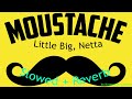 Little Big Netta MOUSTACHE Slowed Reverb