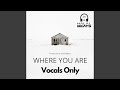 Where you are vocals only