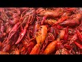 Hartwigs 3rd annual crawfish boil 2023  houston tx