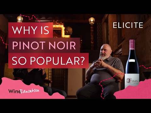 Video: Är pinot noir ekaktig?