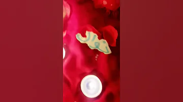 حالات واتساب عن اسم نوال 