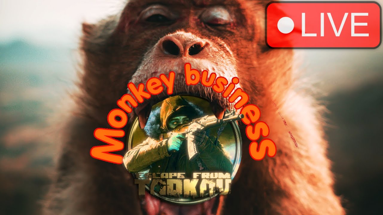 Factory daily tasks! Any Salewas on factory?