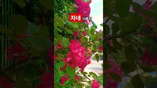 자네 #나훈아 구독&amp;좋아요💚 #스타일스타 #shorts 가황