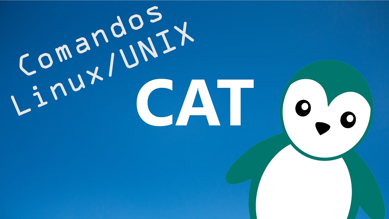 CAT - Comandos Linux/UNIX - YouTube