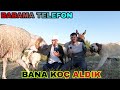 BABAMA AKILLI TELEFON ALDIK~KENDİME KOCAMAN BİR KOÇ~YENİ KOÇLARIMIZ