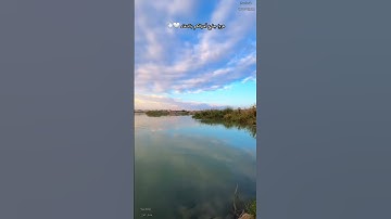 تلاوة مرئية خاشعة للشيخ محمد صديق المنشاوي سورة غافر #المنشاوي_رحمه_الله #تلاوة_خاشعة #قرآن #short