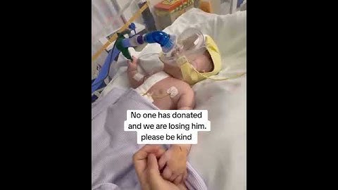 GoFundMe and PayPal donation link in bio Joeys lungs are failing and time is running out ❤️🙏🙏