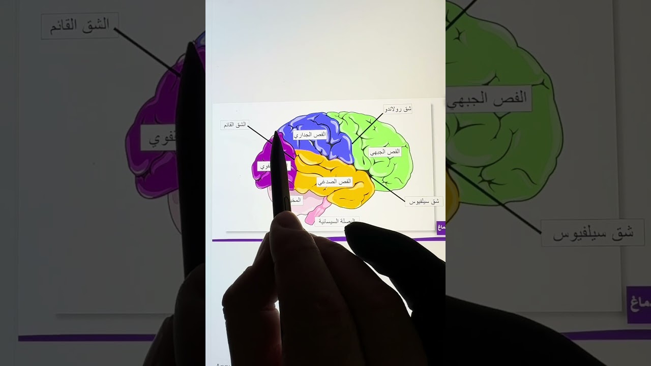 الوثيقة لي ولا مرة جات في البيام متراطيش