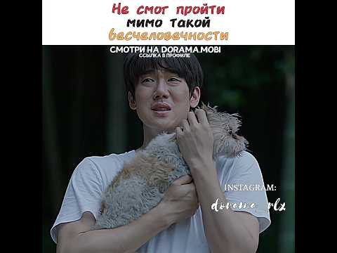 💔Не смог пройти мимо такой бесчеловечности | Мой пес Руни