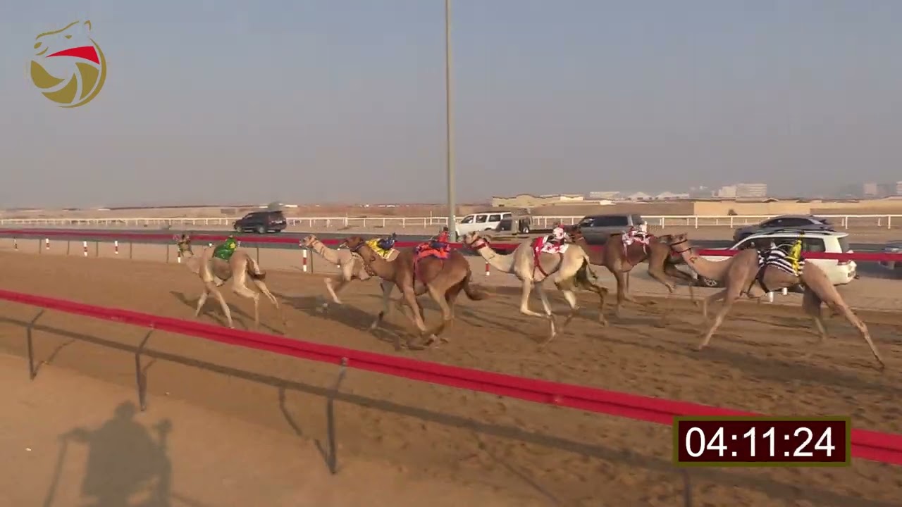 سباق الإيذاع - الطي 13-11-2022 ش12 سياف لـ أحمد طارش سعيد الكعبي 