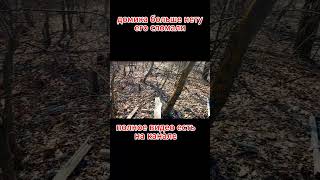 Домика больше нет его сломали