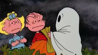 Sally Decides To Sit In The Pumpkin Patch With Linus