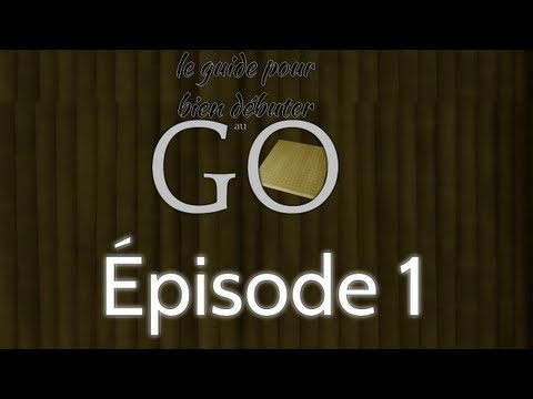 Vidéo: Guide du débutant sur GO Transit