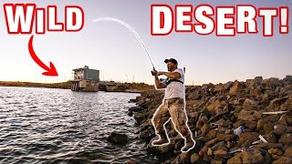 This Hidden Desert Pond Was Loaded With Tasty Fish!!! (Jim Bridger Pond!!)