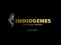 Indiogenes - Rikchariy