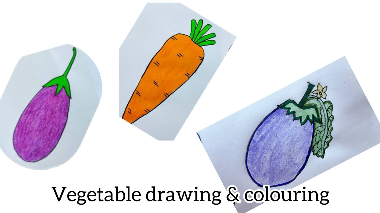 Vegetables Drawing Easy How to DrawVegetables Easy Methods| Draw Carrot/Brinjal