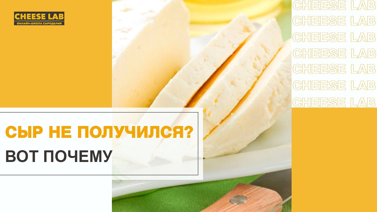 сырная лаборатория онлайн-школа сырделия отзывы