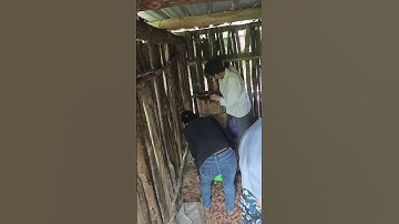 Centrifugal honey spinner operation