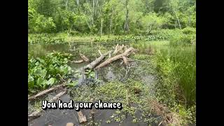 May 17, 2026 Conestee Nature Preserve Mauldin SC 