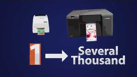 Primera Label Printers Explained