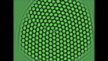 Gray Scott Model Simulation Pattern Delta  Complex Patterns in Simple Reaction Diffusion System