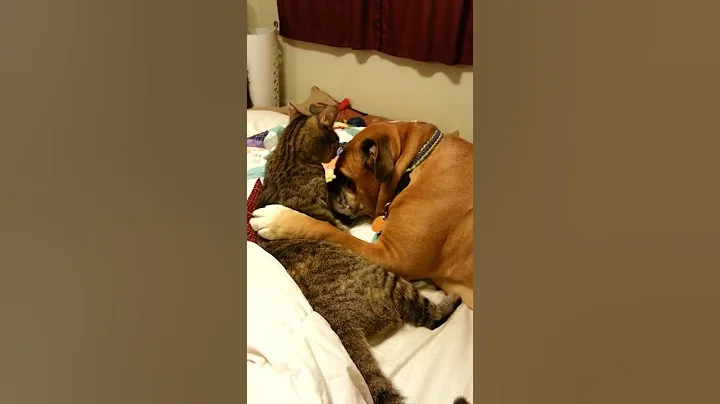 BFF bath time