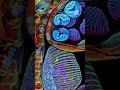 Nikon Small World Competition Entries