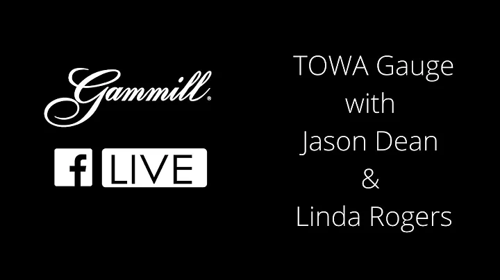 TOWA Gauge Live Demo