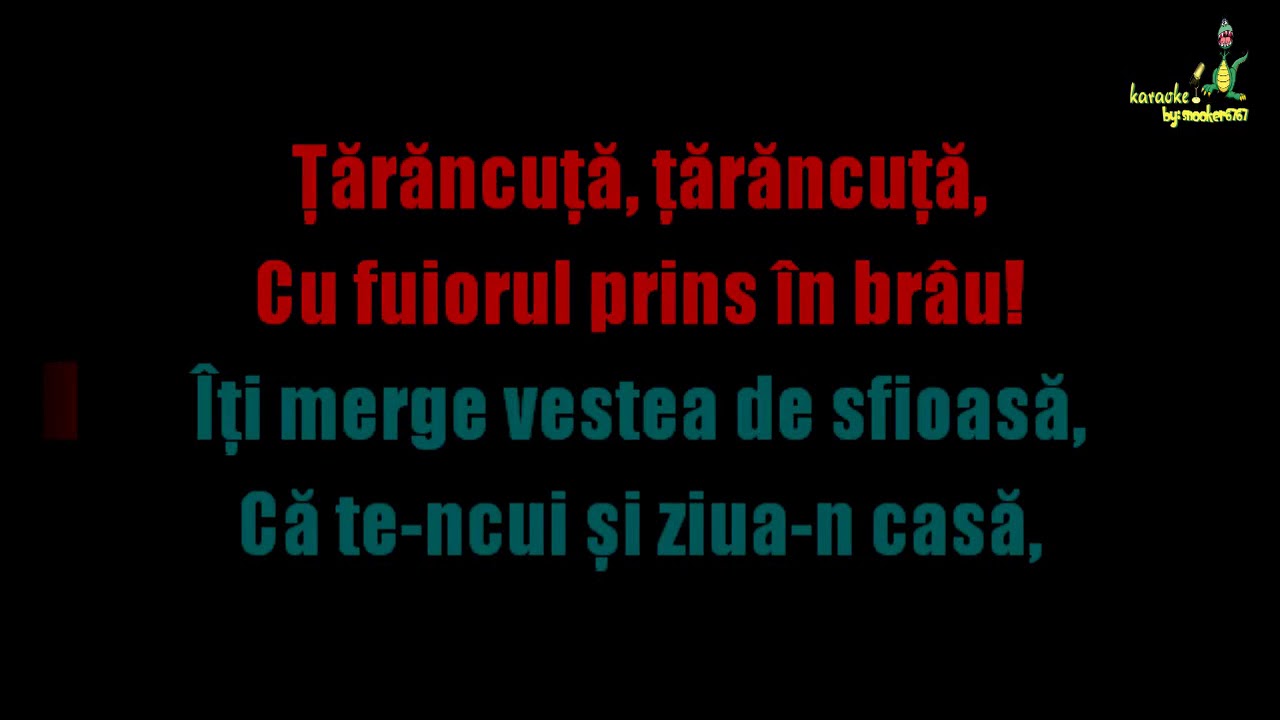 Dan Spataru - Tarancuta (Ka®aokeHD by Snooker6767)