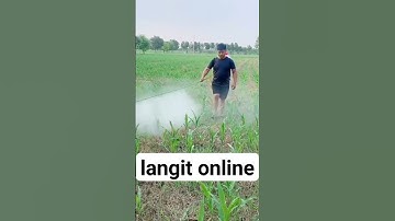 alat penyemprot hama terbaru
