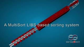 S2S-LIBSpromo 2022