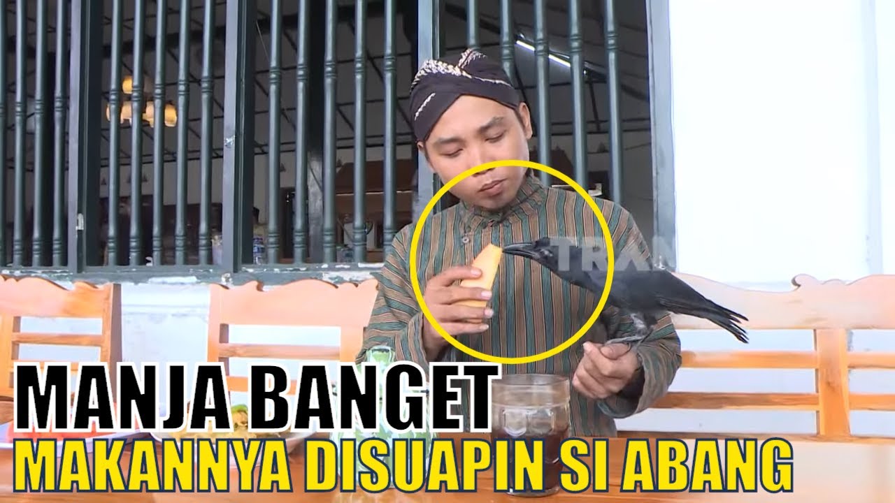 Kenalin GAGAK si Burung Hitam yang Pintar | SI OTAN (20/03/20) Part 1