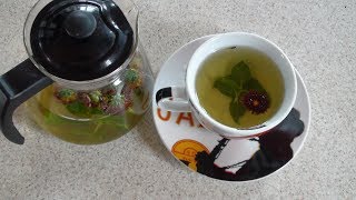 Чай из хризантем и мяты. Королевский чай.