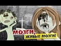 Мозги, живые мозги! (Сектор виртуальной реальности)