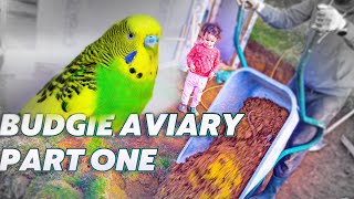 Making of Budgie Aviary ▶️ Part 1
