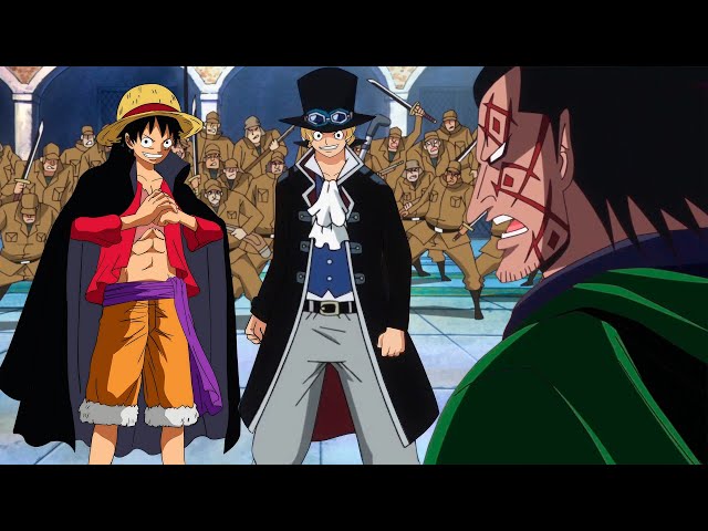 Luffy e Robin são irmãos por parte de pai? #onepiece #luffy #robin