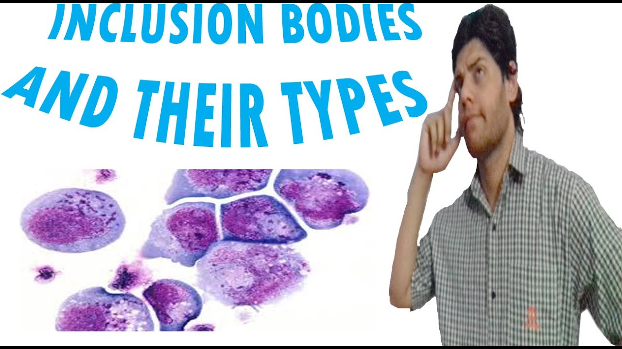 Inclusion Bodies Or Granules And Their Types (Cell Lecture 9)
