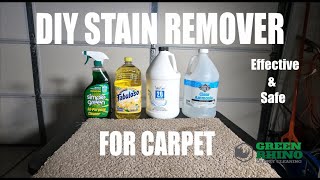 DIY Stain Remover For Carpet  Advice From A Pro