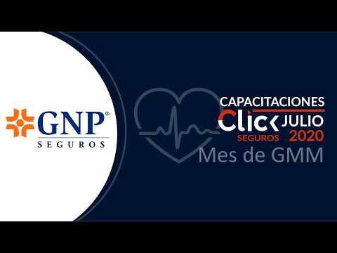 Capacitación GNP