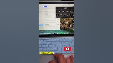 Open an on-screen keyboard on MAC os